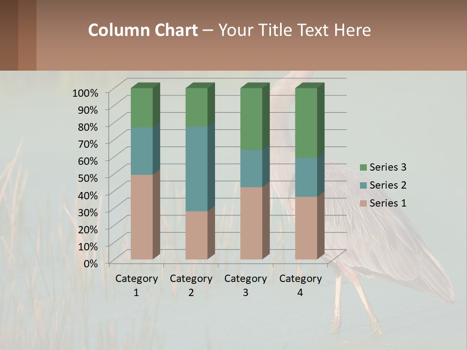 Wildlife Wetland Nature PowerPoint Template