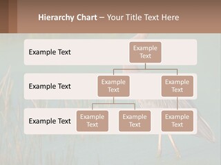 Wildlife Wetland Nature PowerPoint Template