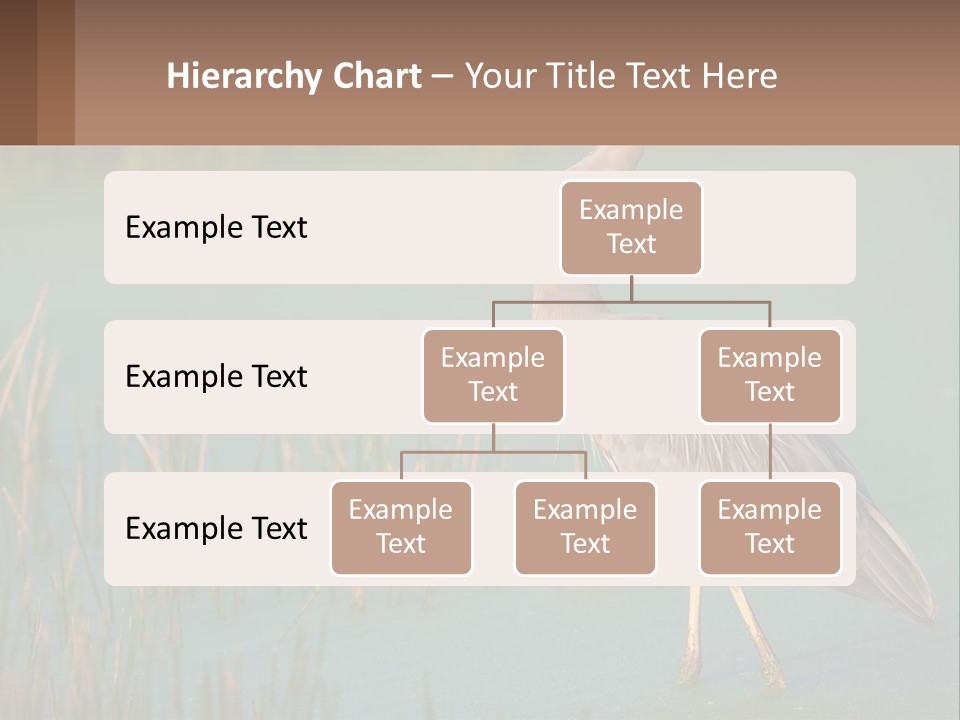 Wildlife Wetland Nature PowerPoint Template