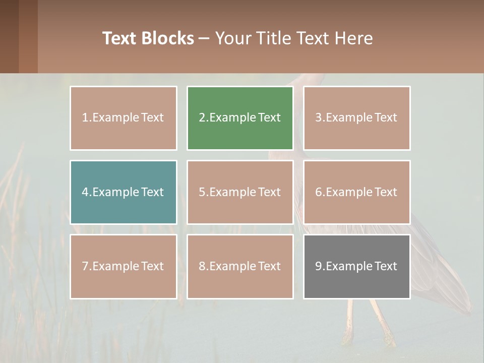 Wildlife Wetland Nature PowerPoint Template
