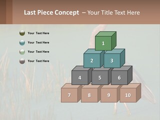 Wildlife Wetland Nature PowerPoint Template