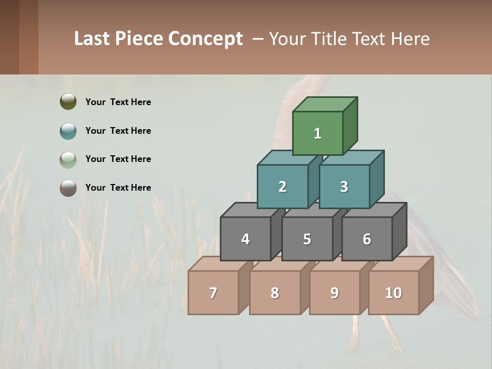 Wildlife Wetland Nature PowerPoint Template
