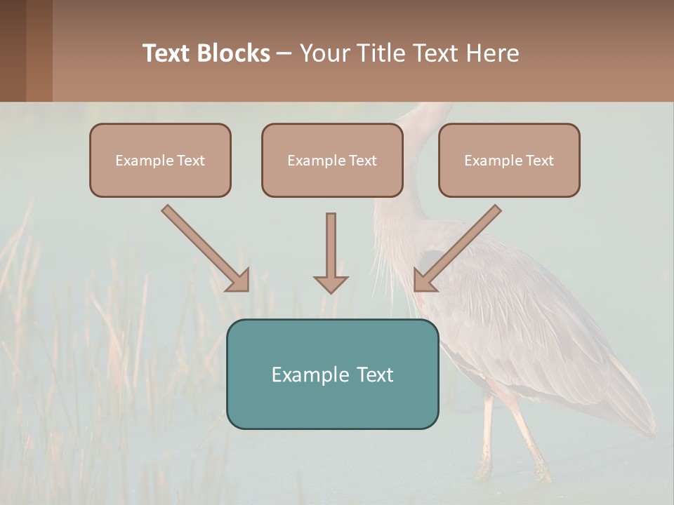 Wildlife Wetland Nature PowerPoint Template