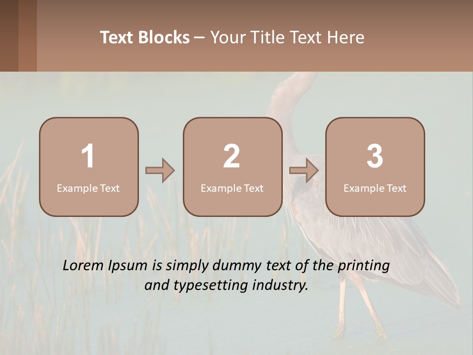 Wildlife Wetland Nature PowerPoint Template