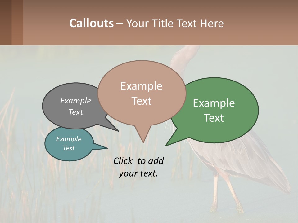 Wildlife Wetland Nature PowerPoint Template