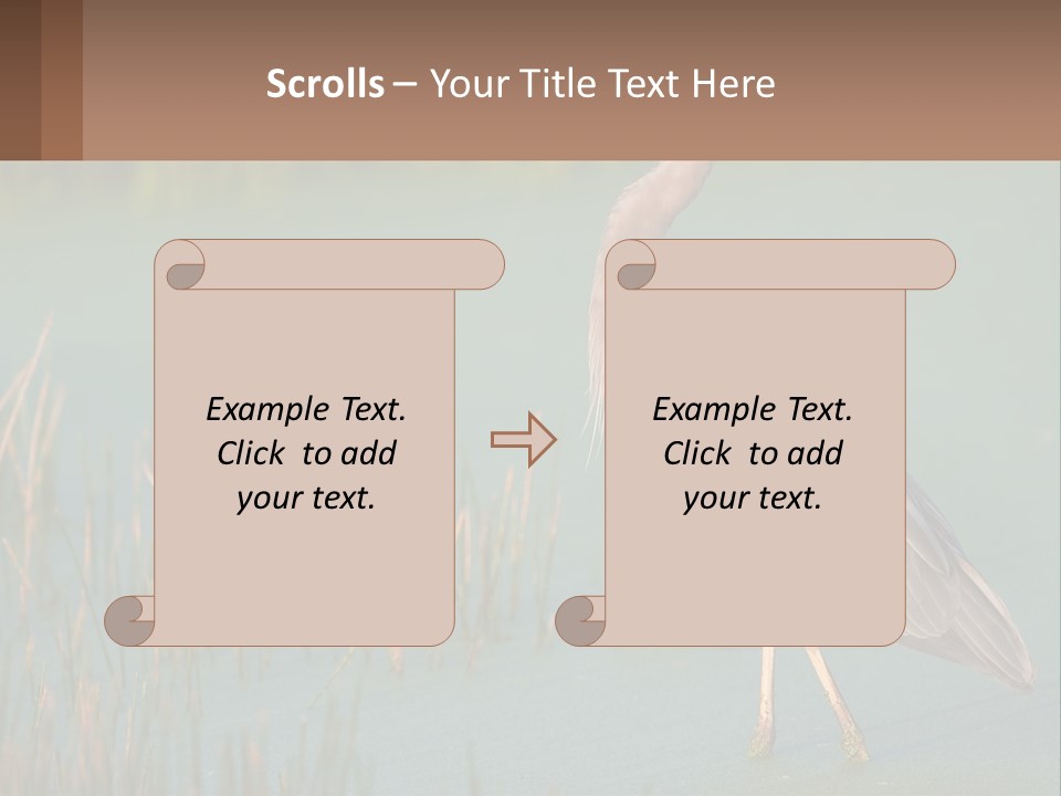 Wildlife Wetland Nature PowerPoint Template