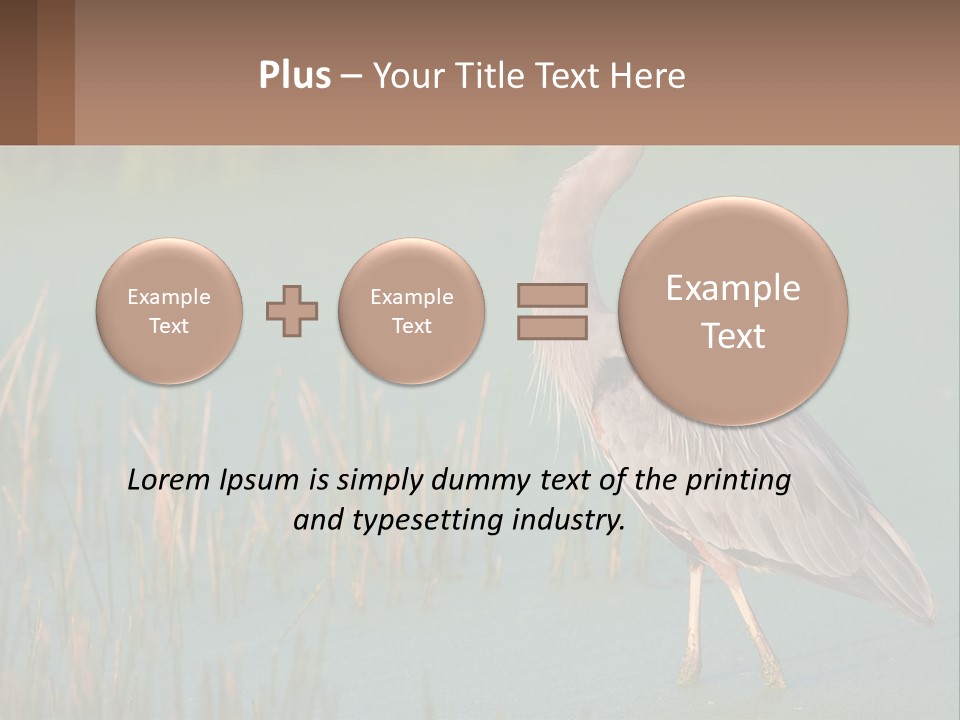 Wildlife Wetland Nature PowerPoint Template