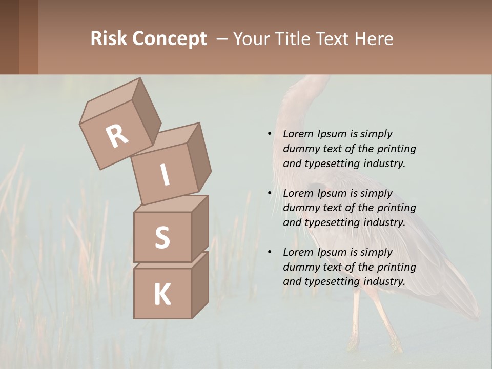 Wildlife Wetland Nature PowerPoint Template