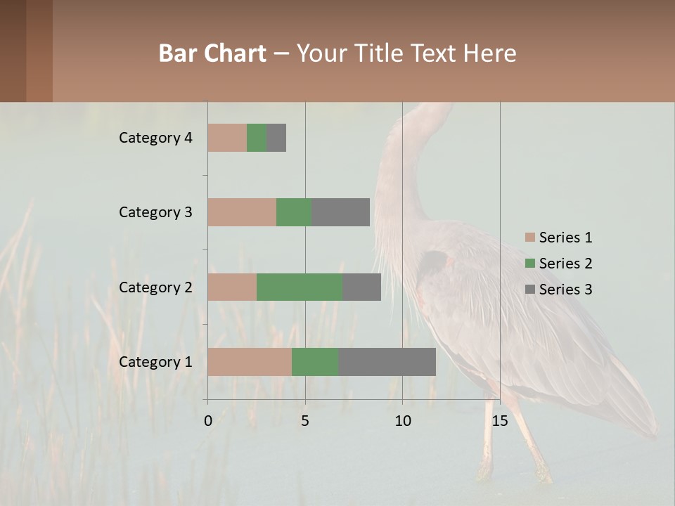 Wildlife Wetland Nature PowerPoint Template