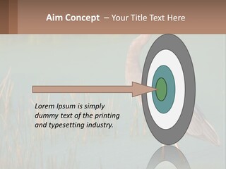 Wildlife Wetland Nature PowerPoint Template