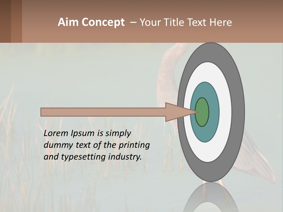 Wildlife Wetland Nature PowerPoint Template