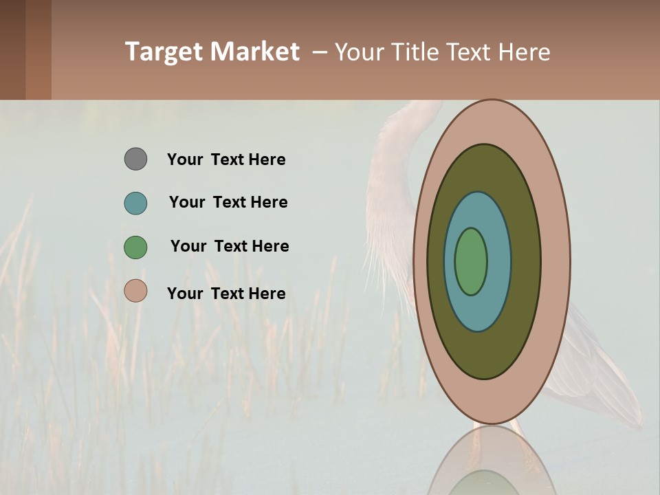 Wildlife Wetland Nature PowerPoint Template