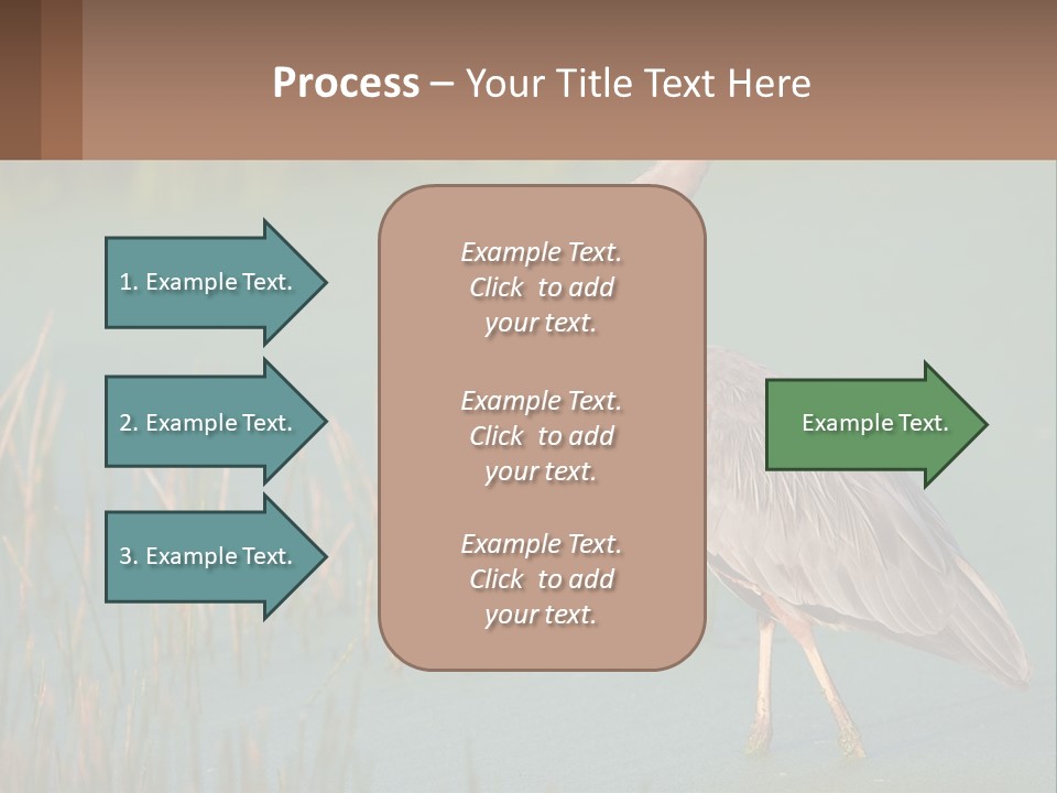 Wildlife Wetland Nature PowerPoint Template