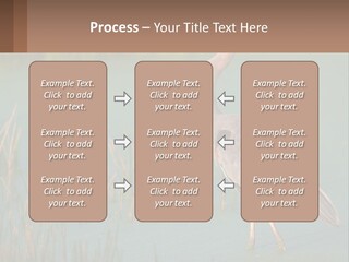 Wildlife Wetland Nature PowerPoint Template