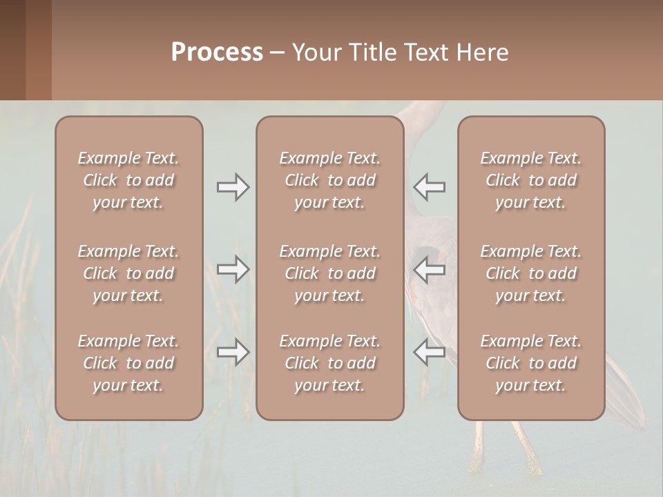 Wildlife Wetland Nature PowerPoint Template