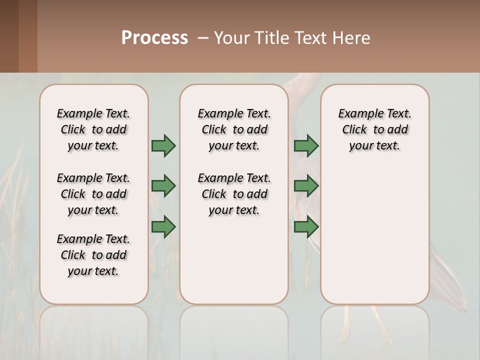 Wildlife Wetland Nature PowerPoint Template