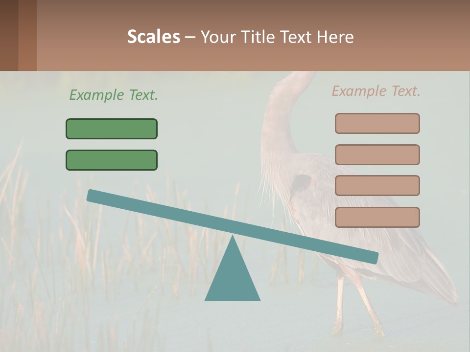 Wildlife Wetland Nature PowerPoint Template