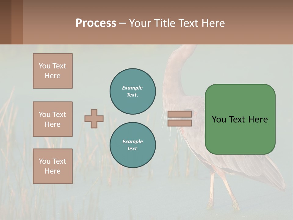 Wildlife Wetland Nature PowerPoint Template