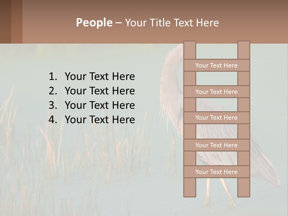 Wildlife Wetland Nature PowerPoint Template