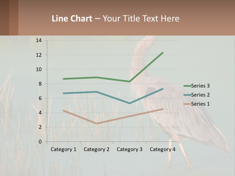 Wildlife Wetland Nature PowerPoint Template