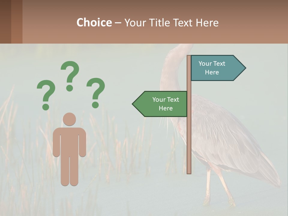 Wildlife Wetland Nature PowerPoint Template