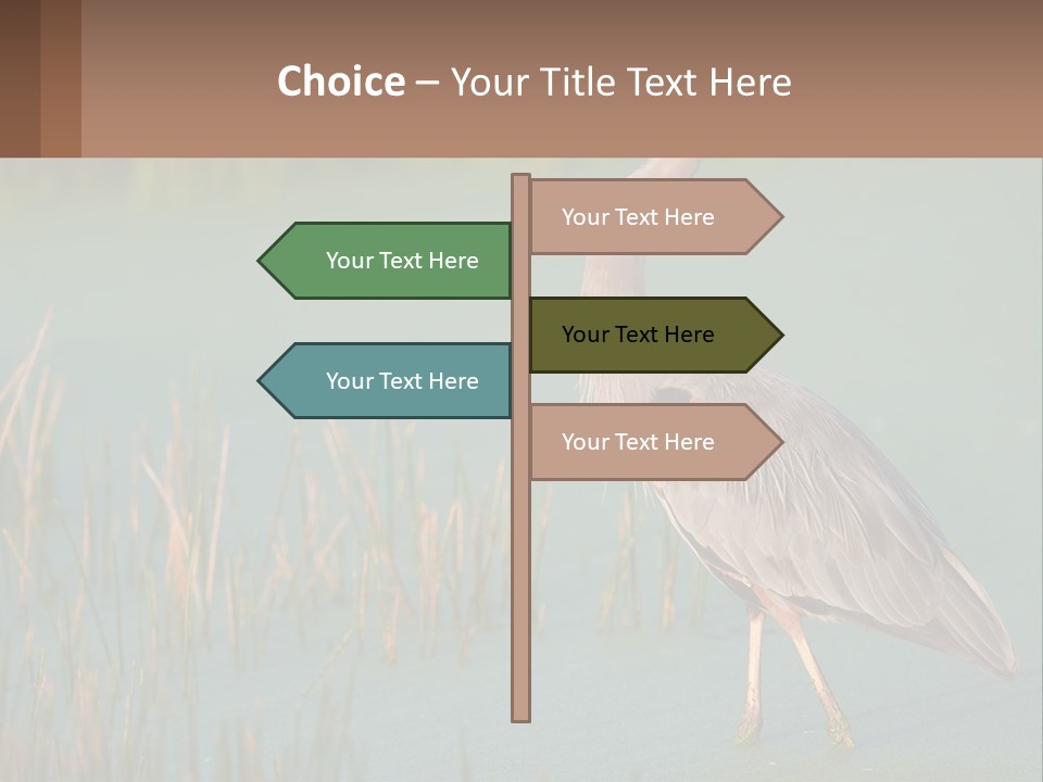 Wildlife Wetland Nature PowerPoint Template