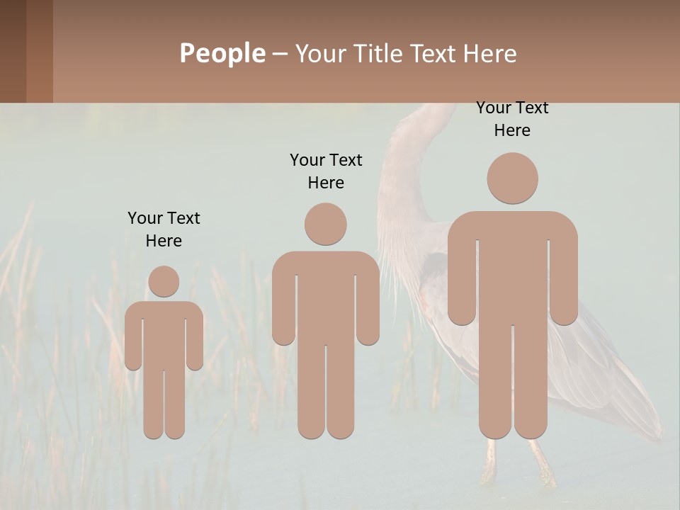 Wildlife Wetland Nature PowerPoint Template