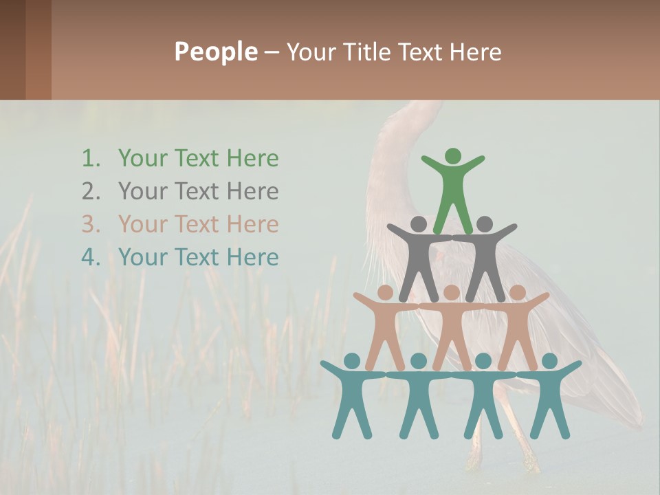 Wildlife Wetland Nature PowerPoint Template