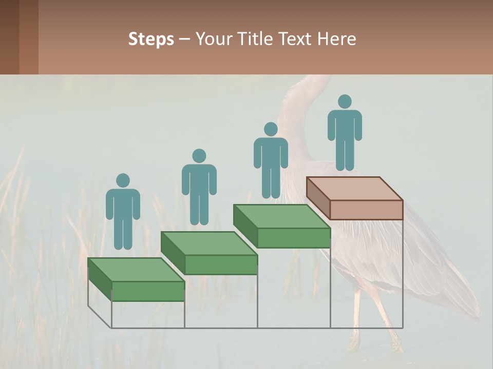 Wildlife Wetland Nature PowerPoint Template