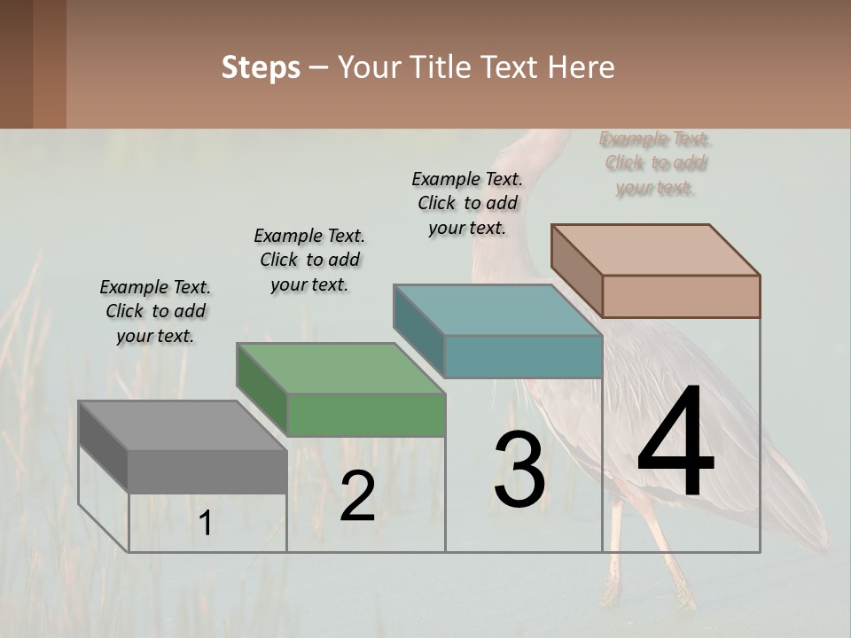 Wildlife Wetland Nature PowerPoint Template