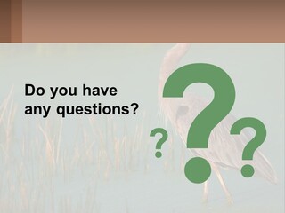 Wildlife Wetland Nature PowerPoint Template