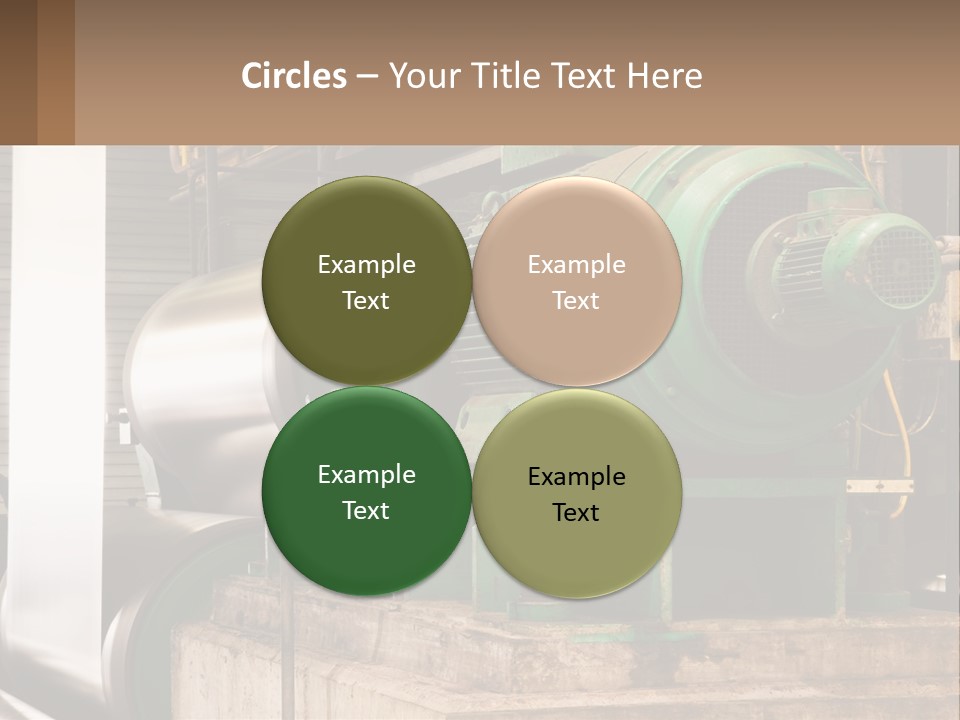 Heavy Nuts Ribs PowerPoint Template