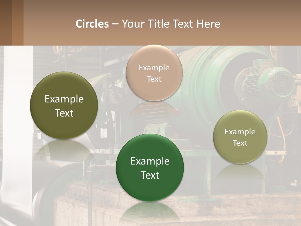 Heavy Nuts Ribs PowerPoint Template