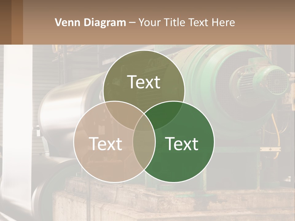 Heavy Nuts Ribs PowerPoint Template