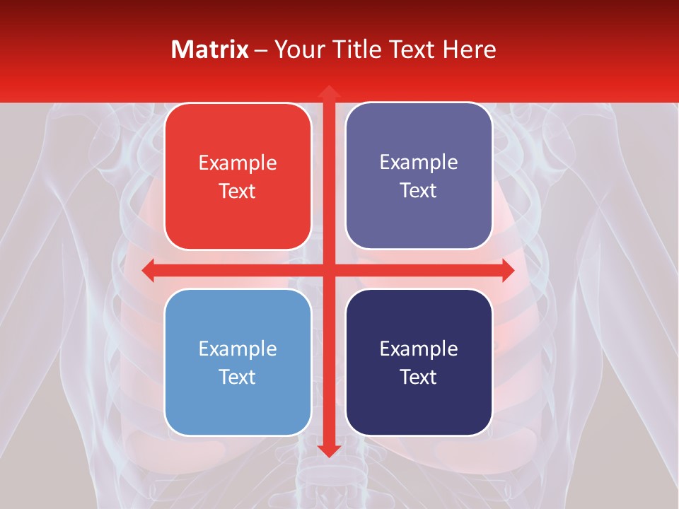 Bones Spinal Rheumatism PowerPoint Template