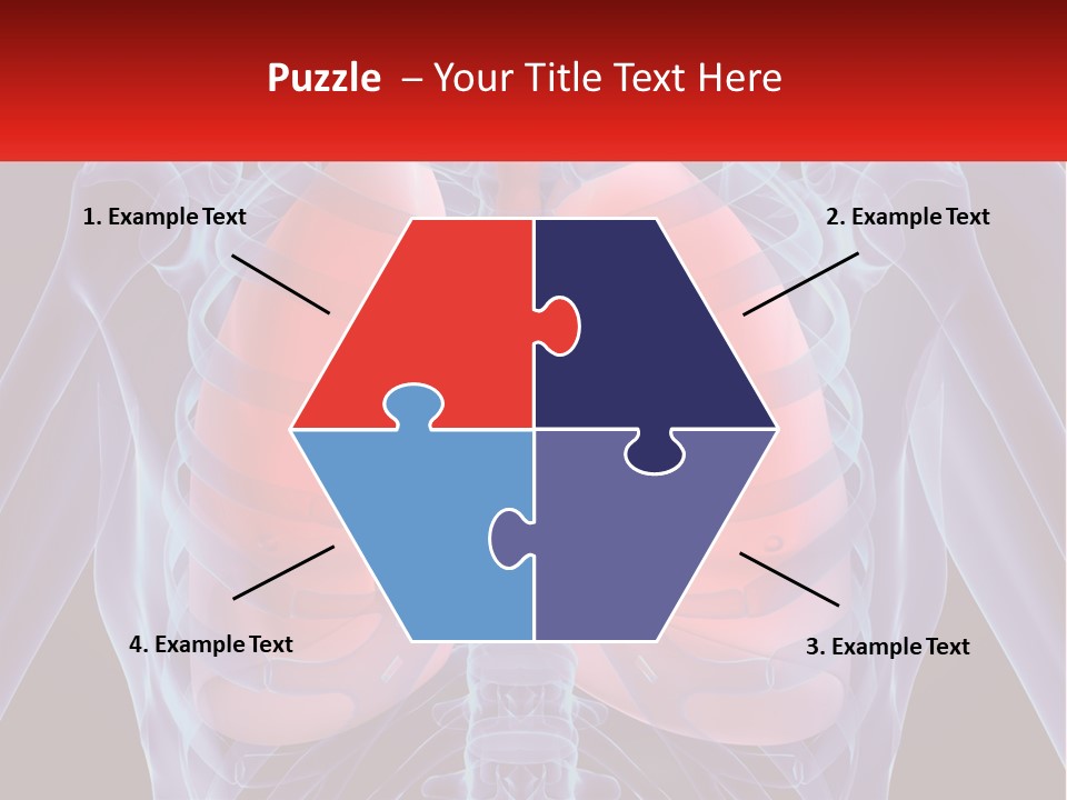 Bones Spinal Rheumatism PowerPoint Template