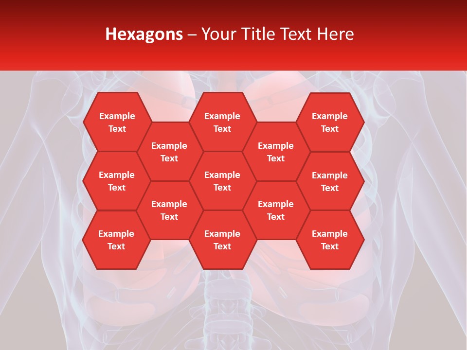 Bones Spinal Rheumatism PowerPoint Template