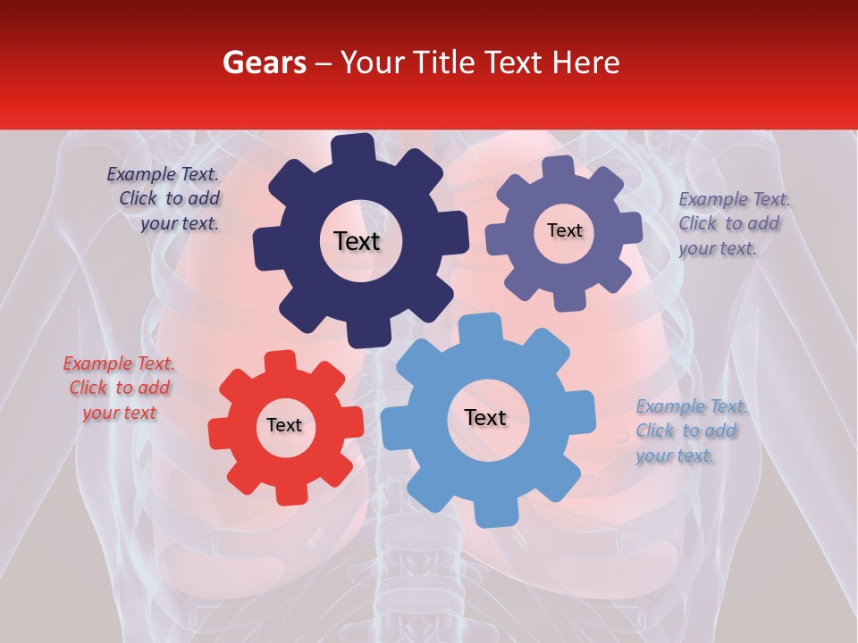 Bones Spinal Rheumatism PowerPoint Template