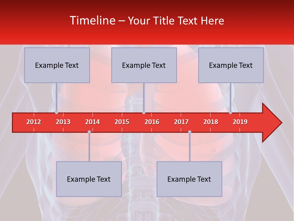 Bones Spinal Rheumatism PowerPoint Template
