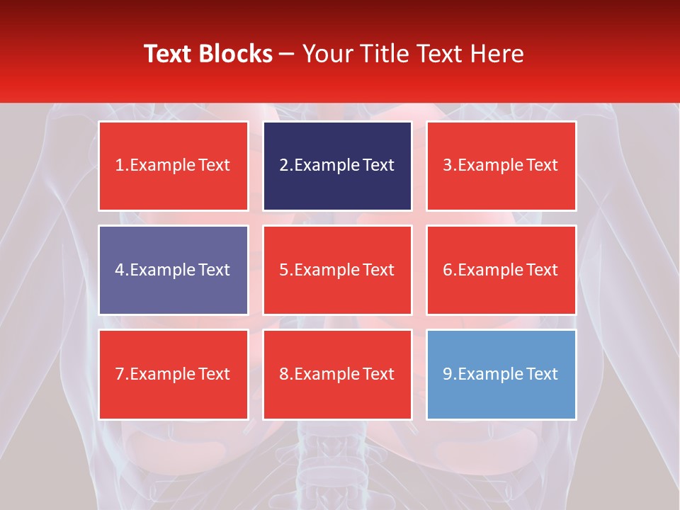 Bones Spinal Rheumatism PowerPoint Template