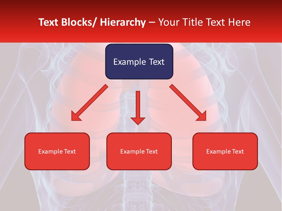 Bones Spinal Rheumatism PowerPoint Template