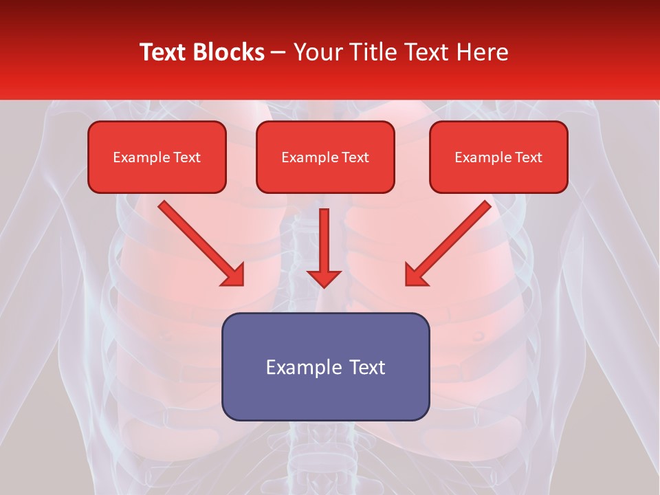 Bones Spinal Rheumatism PowerPoint Template