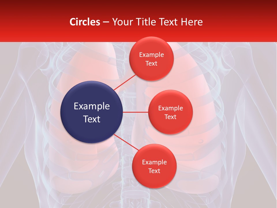 Bones Spinal Rheumatism PowerPoint Template