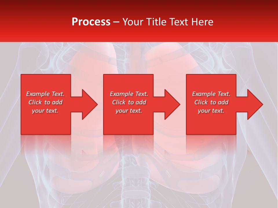 Bones Spinal Rheumatism PowerPoint Template