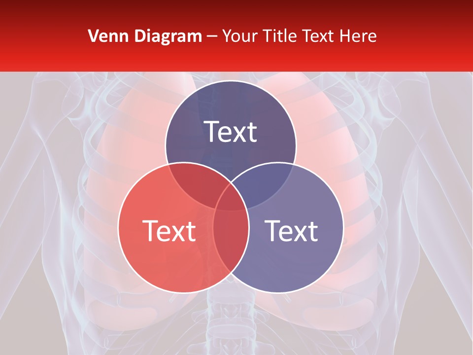 Bones Spinal Rheumatism PowerPoint Template