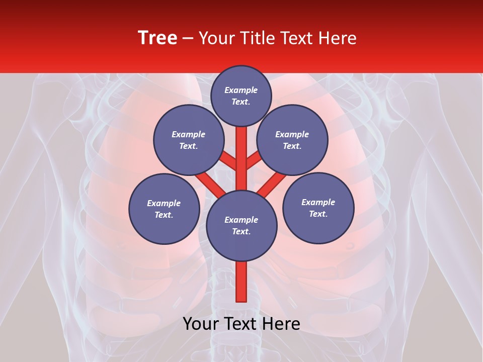 Bones Spinal Rheumatism PowerPoint Template