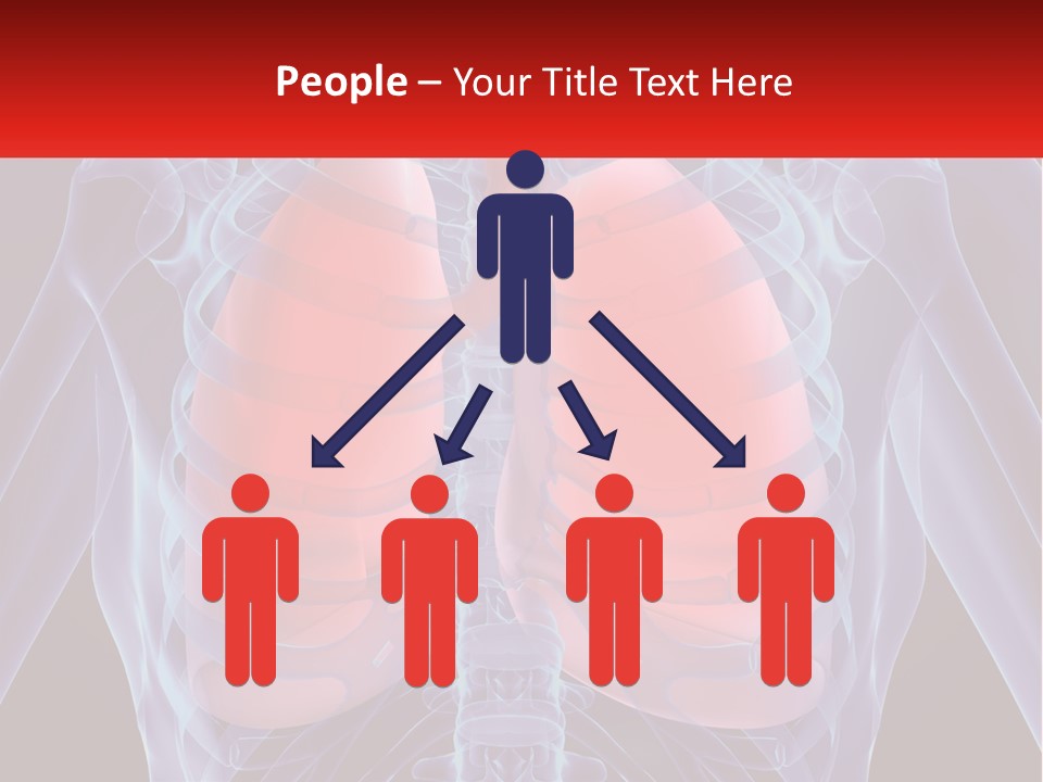 Bones Spinal Rheumatism PowerPoint Template
