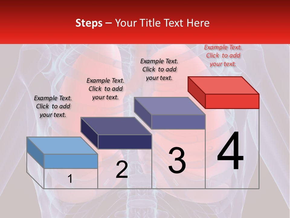 Bones Spinal Rheumatism PowerPoint Template