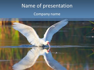 Nature Environment Graceful PowerPoint Template