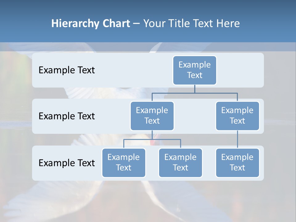 Nature Environment Graceful PowerPoint Template